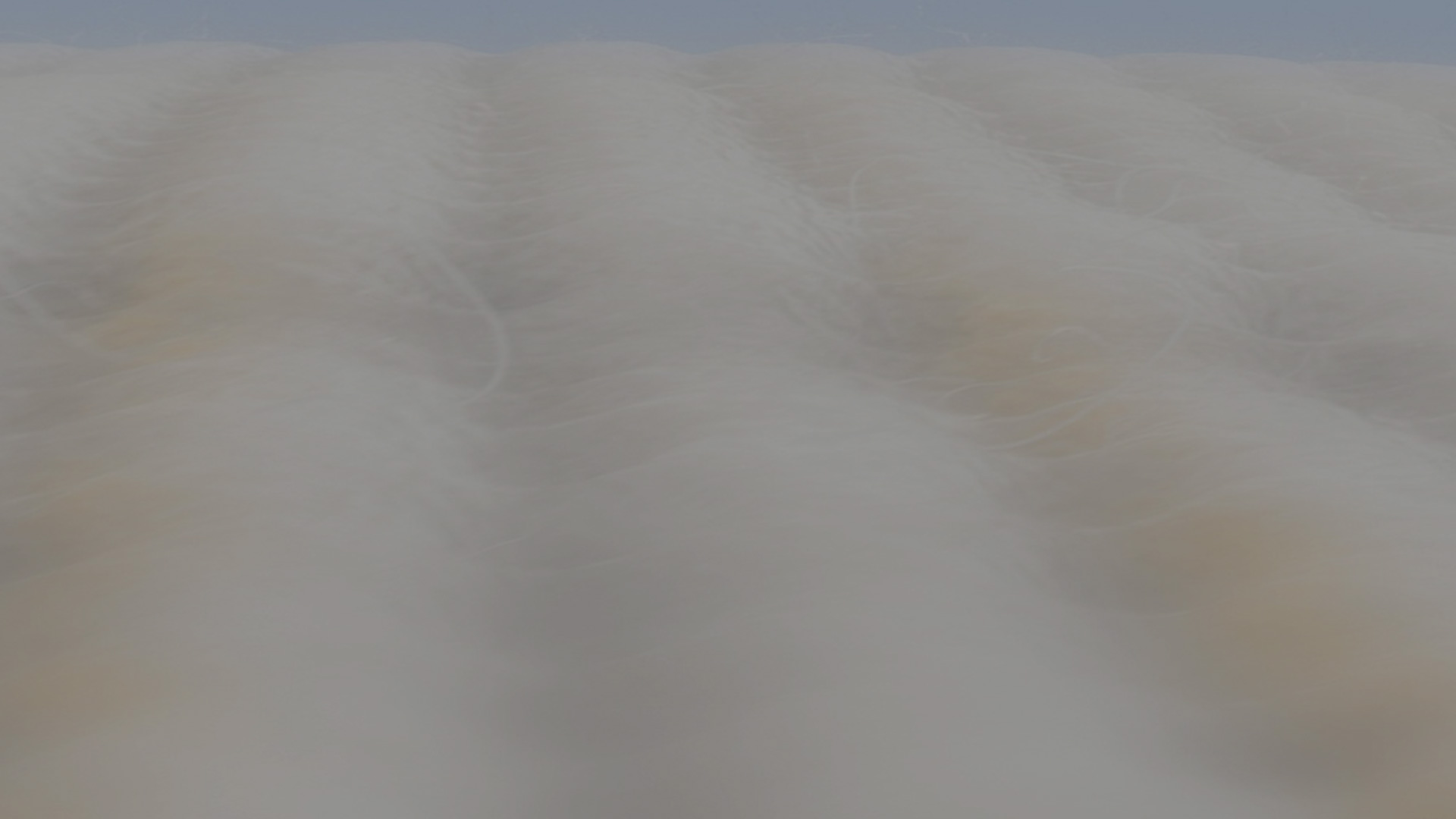 Quality You Can Trust